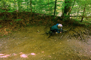 54760395492_579408d25c_k